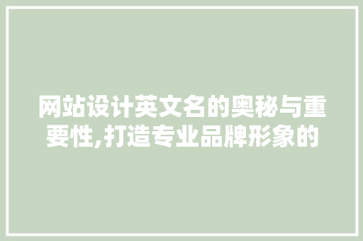 网站设计英文名的奥秘与重要性,打造专业品牌形象的关键