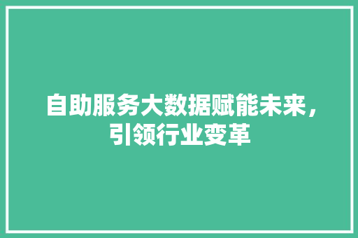 自助服务大数据赋能未来，引领行业变革