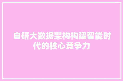 自研大数据架构构建智能时代的核心竞争力