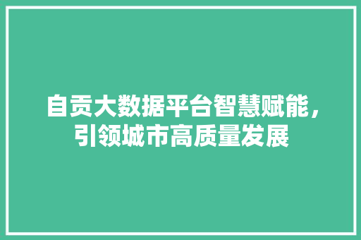 自贡大数据平台智慧赋能，引领城市高质量发展