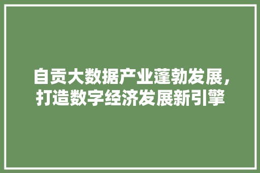 自贡大数据产业蓬勃发展，打造数字经济发展新引擎