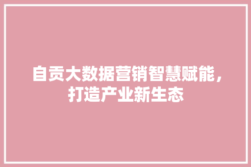 自贡大数据营销智慧赋能，打造产业新生态