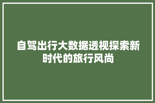 自驾出行大数据透视探索新时代的旅行风尚