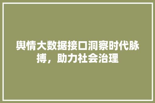 舆情大数据接口洞察时代脉搏，助力社会治理