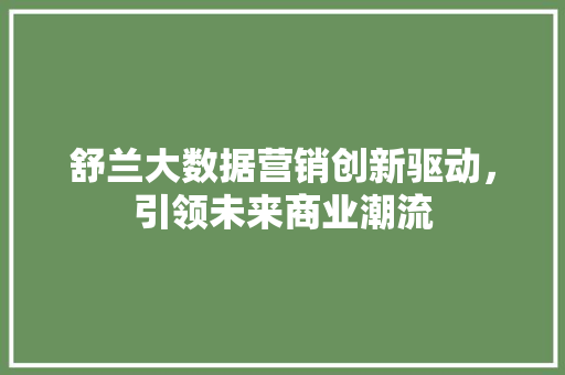 舒兰大数据营销创新驱动，引领未来商业潮流