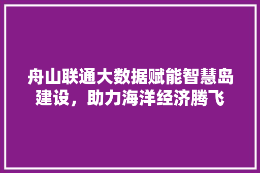舟山联通大数据赋能智慧岛建设，助力海洋经济腾飞