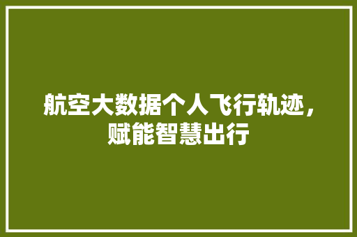 航空大数据个人飞行轨迹，赋能智慧出行