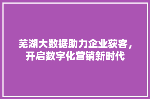 芜湖大数据助力企业获客，开启数字化营销新时代