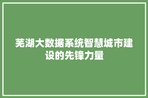 芜湖大数据系统智慧城市建设的先锋力量