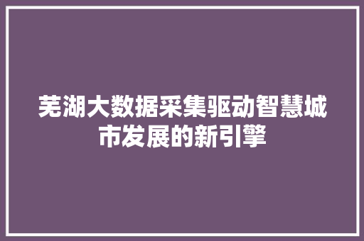 芜湖大数据采集驱动智慧城市发展的新引擎