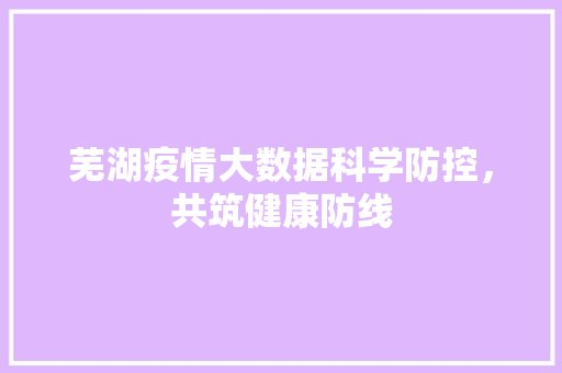 芜湖疫情大数据科学防控，共筑健康防线