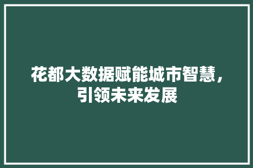 花都大数据赋能城市智慧，引领未来发展