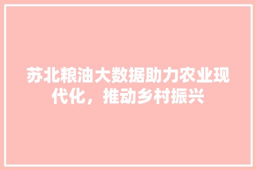 苏北粮油大数据助力农业现代化，推动乡村振兴