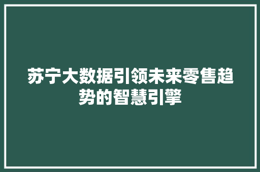 苏宁大数据引领未来零售趋势的智慧引擎