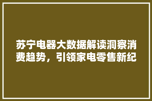苏宁电器大数据解读洞察消费趋势，引领家电零售新纪元
