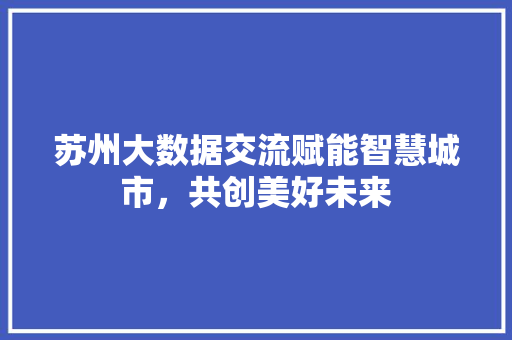 苏州大数据交流赋能智慧城市，共创美好未来