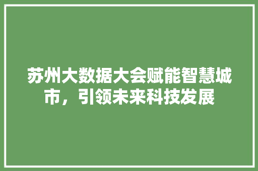 苏州大数据大会赋能智慧城市，引领未来科技发展