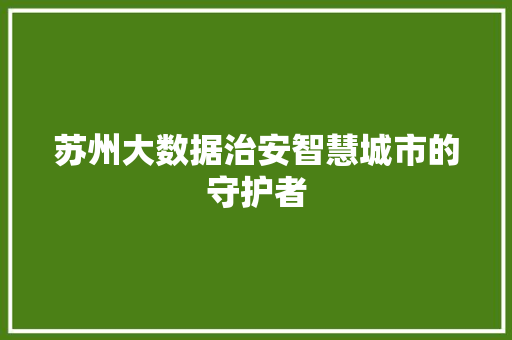 苏州大数据治安智慧城市的守护者