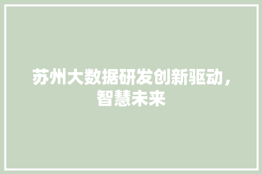 苏州大数据研发创新驱动，智慧未来