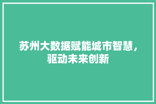 苏州大数据赋能城市智慧，驱动未来创新