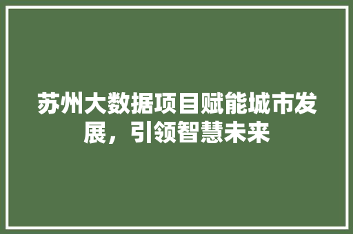 苏州大数据项目赋能城市发展，引领智慧未来