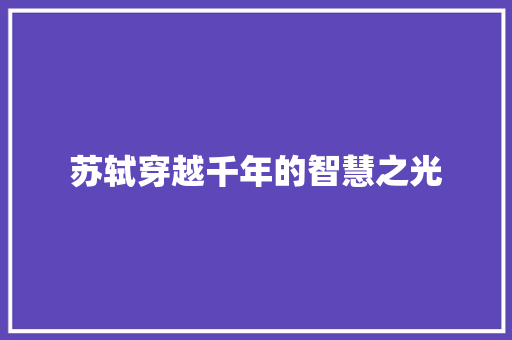 苏轼穿越千年的智慧之光