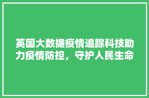 英国大数据疫情追踪科技助力疫情防控，守护人民生命安全 SEO教程