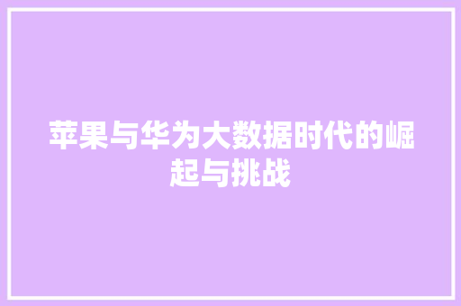 苹果与华为大数据时代的崛起与挑战