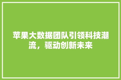 苹果大数据团队引领科技潮流，驱动创新未来