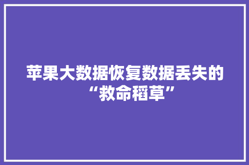 苹果大数据恢复数据丢失的“救命稻草”