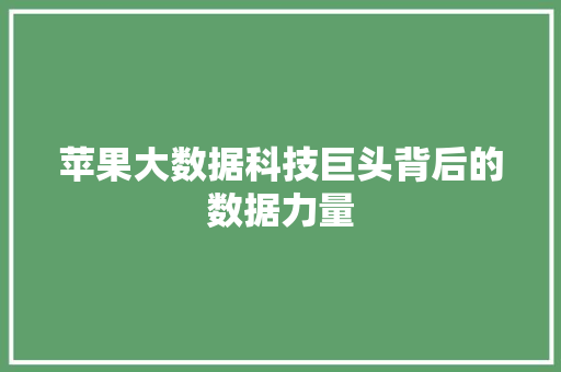 苹果大数据科技巨头背后的数据力量 SEO教程