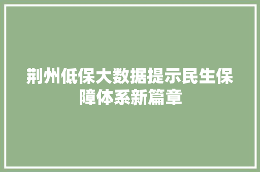 荆州低保大数据提示民生保障体系新篇章