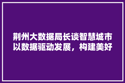 荆州大数据局长谈智慧城市以数据驱动发展，构建美好未来