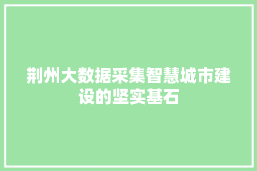 荆州大数据采集智慧城市建设的坚实基石