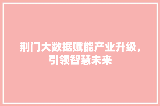 荆门大数据赋能产业升级，引领智慧未来