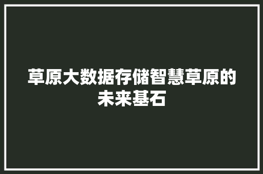 草原大数据存储智慧草原的未来基石 WordPress教程