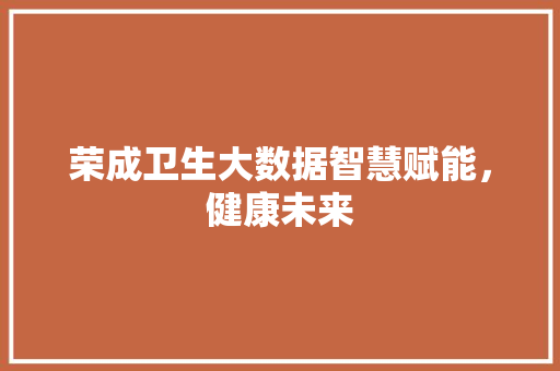 荣成卫生大数据智慧赋能，健康未来 WordPress教程