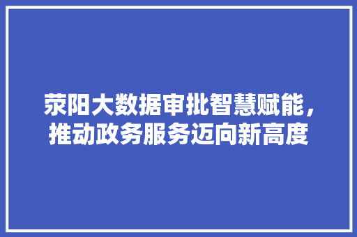 荥阳大数据审批智慧赋能，推动政务服务迈向新高度