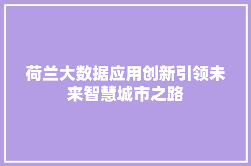 荷兰大数据应用创新引领未来智慧城市之路