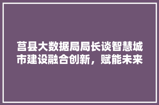 莒县大数据局局长谈智慧城市建设融合创新，赋能未来