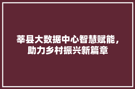 莘县大数据中心智慧赋能，助力乡村振兴新篇章