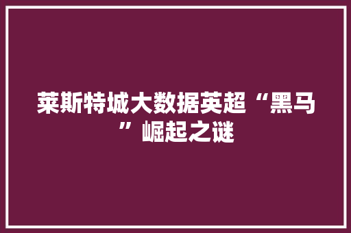 莱斯特城大数据英超“黑马”崛起之谜