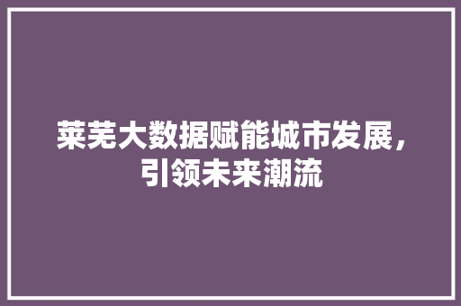 莱芜大数据赋能城市发展，引领未来潮流