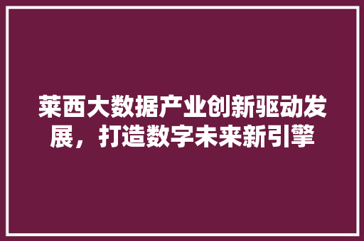 莱西大数据产业创新驱动发展，打造数字未来新引擎