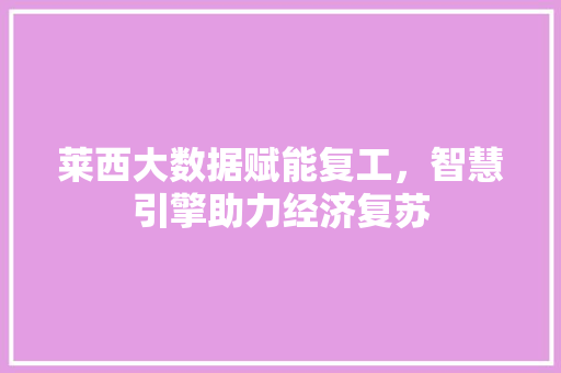 莱西大数据赋能复工，智慧引擎助力经济复苏