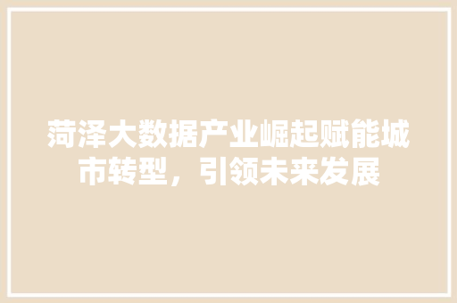 菏泽大数据产业崛起赋能城市转型，引领未来发展