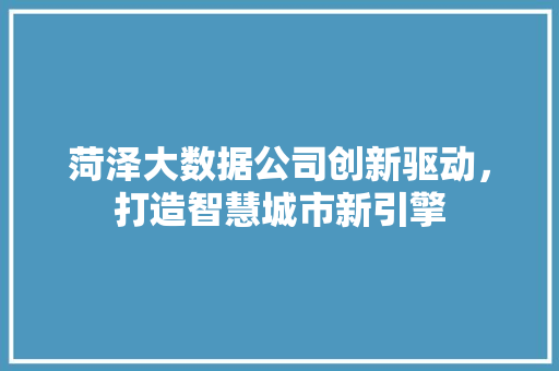 菏泽大数据公司创新驱动，打造智慧城市新引擎