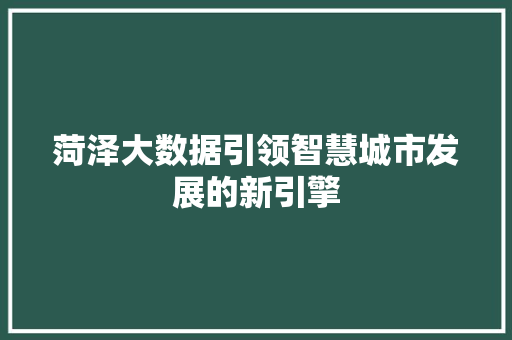 菏泽大数据引领智慧城市发展的新引擎