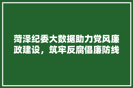 菏泽纪委大数据助力党风廉政建设，筑牢反腐倡廉防线