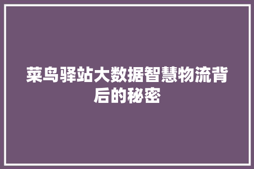 菜鸟驿站大数据智慧物流背后的秘密